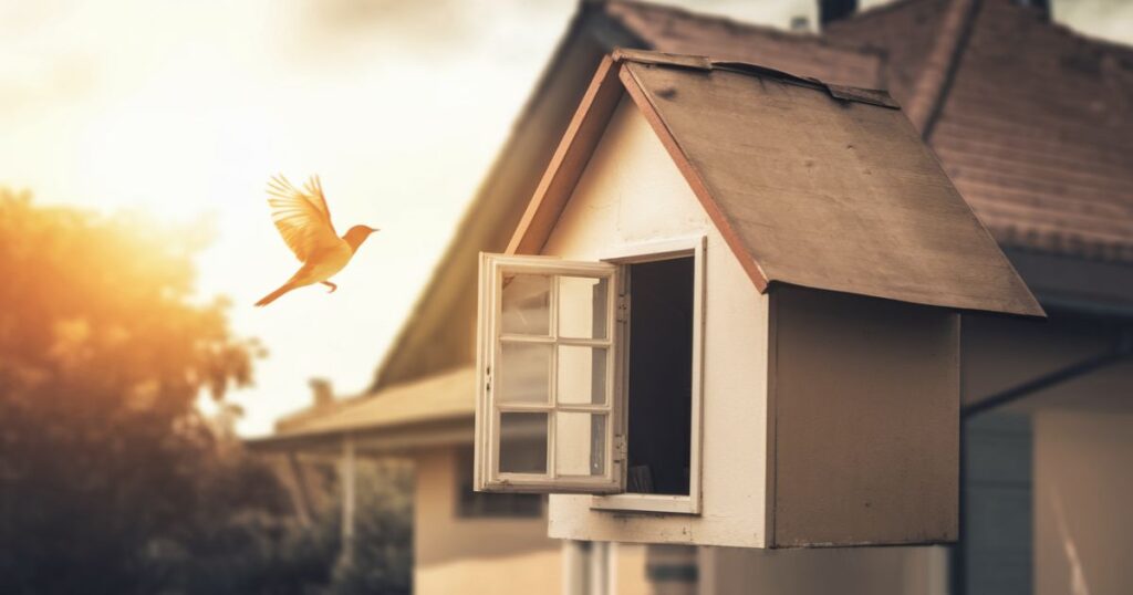 13 Spiritual Meanings of A Bird Flying Into Your House