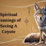 13 Spiritual Meanings of Seeing A Coyote