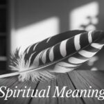 Black and White Feather Spiritual Meaning