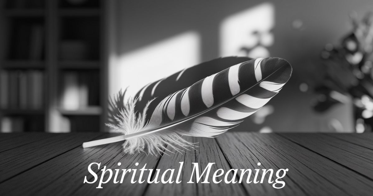 Black and White Feather Spiritual Meaning