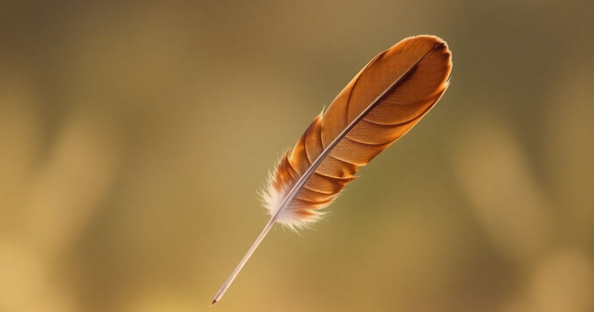 Brown Feather Meaning: Spiritual Symbolism, Messages, and Interpretations