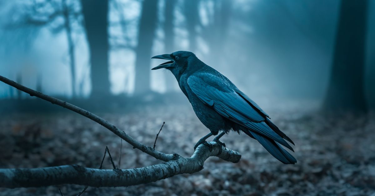 Crow Cawing Spiritual Meaning: Divine Messages Unveiled