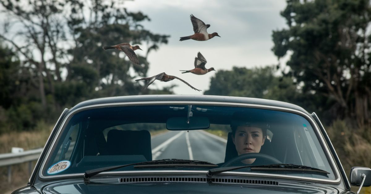 Spiritual Meanings of Birds Flying In Front Of Your Car While Driving