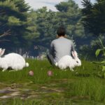 The Spiritual Meaning of Seeing 2 Rabbits