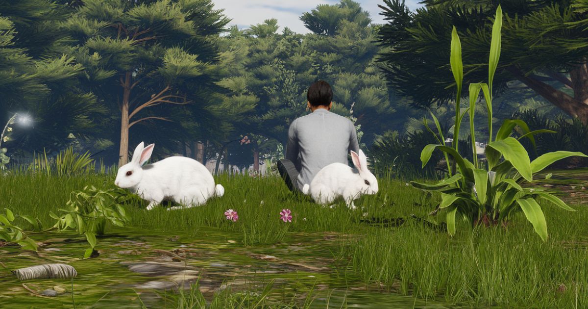 The Spiritual Meaning of Seeing 2 Rabbits