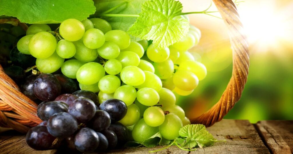 Understanding the Spiritual Meaning of Grapes in a Dream