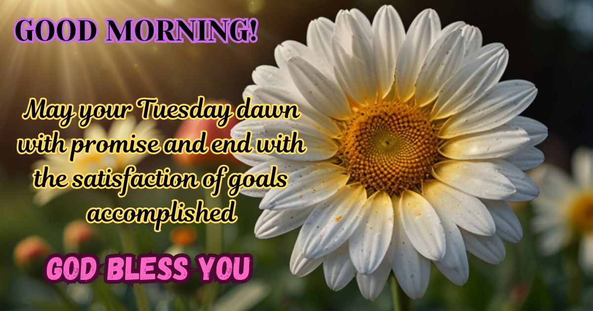 160+ Good Morning Tuesday Blessings to Brighten Your Day