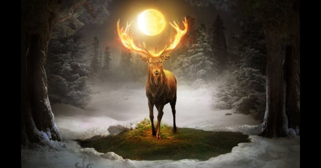 Spiritual Significance of Dead Deer